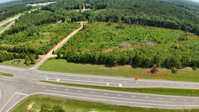 0 Old Saint Stephens Rd, Grove Hill, AL 36451 - photo 2