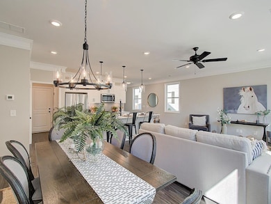 Model Representation