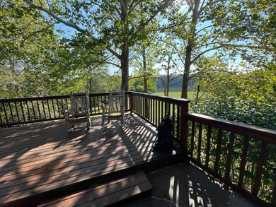 441 Cane Cove Rd, Cape Fair, MO 65624 - photo 7