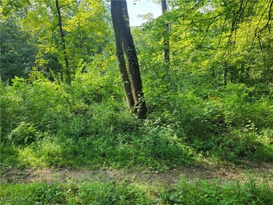 5855 Olney Run Rd, McConnelsvle, OH 43756 - photo 6