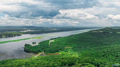 251 Morgan Ln, Section, AL 35771 - photo 3