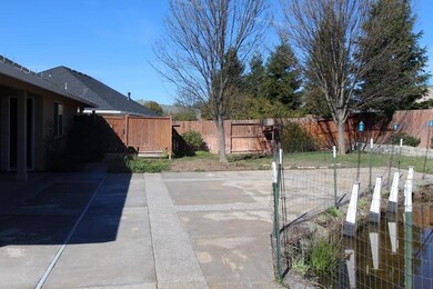 back yard (800x533).jpg