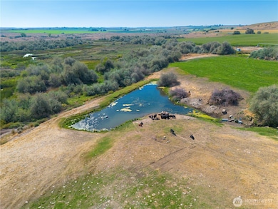 1461 Sheffield Rd, Mesa, WA 99343 - photo 5