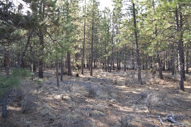 19445 Bainbridge Ct, Bend, OR 97702 - photo 4