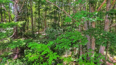 03_DJI_0121_copy_DxO_mls