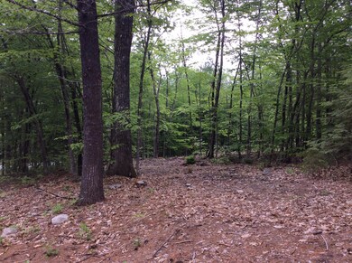 146 S Bridgton Rd, Bridgton, ME 04009 - photo 5