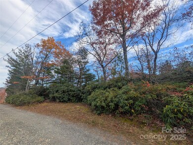 View of gravel road frontage on Spar Mill Rd and lot to the right