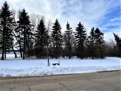 40519 Pine View Dr, Sauk Centre, MN 56378 - photo 3