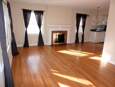 325 S Julian St, Naperville, IL 60540 - photo 3