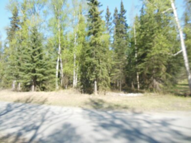 DSCN2163