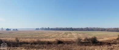 507 Hwy 280, Peach Orchard, AR 72453 - photo 6