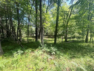 XX 9 3 4 Ave, Chetek, WI 54728 - photo 5