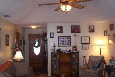 941 Citrus Dr unit 41, Alamo, TX 78516 - photo 5