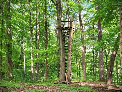 0 3 Island Rd unit RTC2784849, Walling, TN 38587 - photo 6