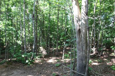 263 Donsdale Dr, Statesville, NC 28625 - photo 5