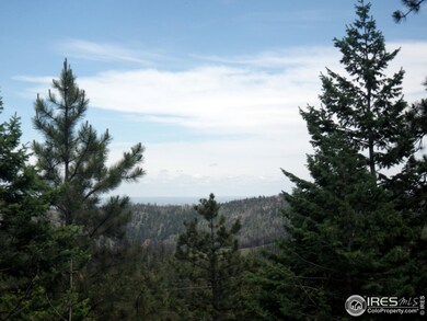 0 Davis Ranch Rd unit 737586, Bellvue, CO 80512 - photo 4