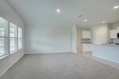 113 Anderson Mill St, Azle, TX 76020 - photo 5