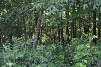 10014 Huron Creek Dr, Dexter, MI 48130 - photo 5