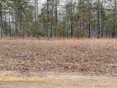 0 Mccall Rd unit 24005759, Heber Springs, AR 72543 - photo 4