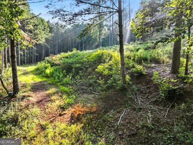 31&32 Fox Paw Leaf Ln, Ellijay, GA 30536 - photo 7