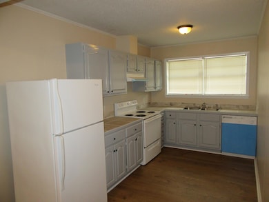 Kitchen View 1