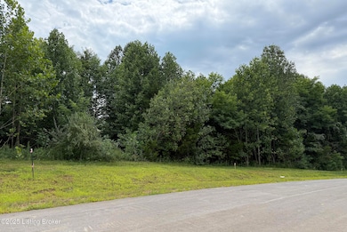 5304 Sycamore Ridge Ln, La Grange, KY 40031 - photo 2