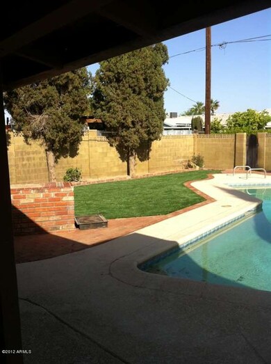 Pool / BBQ