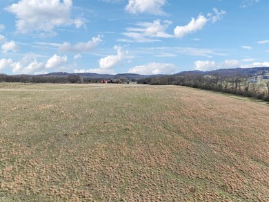 0 Polk unit RTC3043374, Columbia, TN 38401 - photo 5