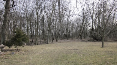 Wooded surrounding 3/4 of the property.