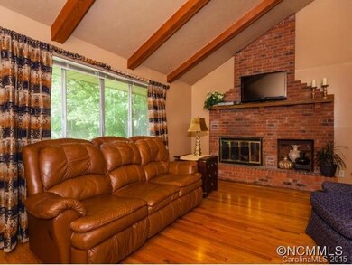 462 Beach Dr, Hendersonville, NC 28792 - photo 3