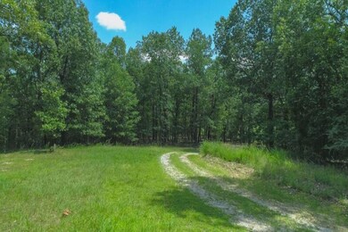 Planned roads in subdivision