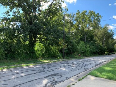 417 Cove Beach Ave, Sheffield Lake, OH 44054 - photo 3