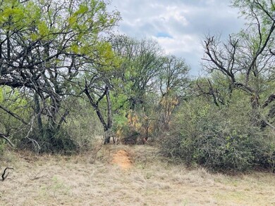 44 County Road 129, Brownwood, TX 76801 - photo 2