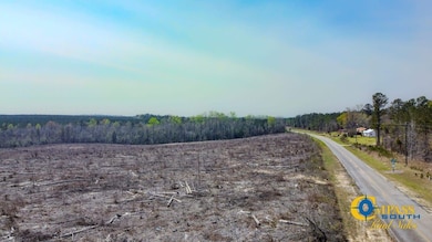 0 Prosser Rd unit 25510401, Deepstep, GA 31082 - photo 7