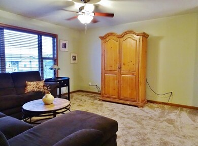 12818 Wheeler St, Cedar Lake, IN 46303 - photo 4