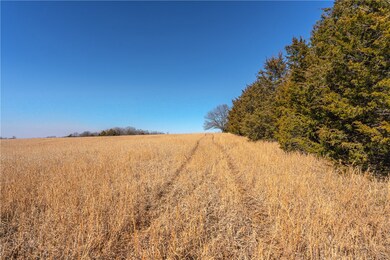 17344 Bethlehem Rd, Winslow, AR 72959 - photo 3