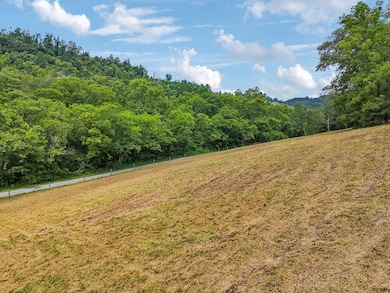 10A Puncheon Camp Ln, Bell Buckle, TN 37020 - photo 7