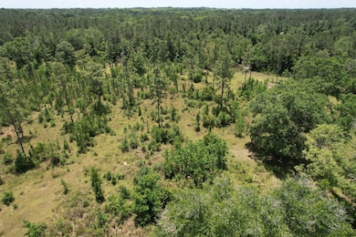 0 Mcgregor Rd unit 23667917, Grand Bay, AL 36541 - photo 4