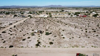 21327 Cleator Ave, Wellton, AZ 85356 - photo 6