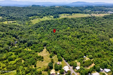 28-3539 Bryan Rd-28