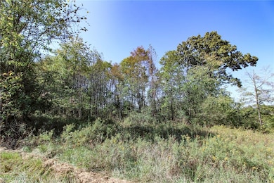Lot 3 Moss Run Rd, Marietta, OH 45750 - photo 6