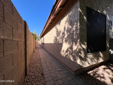 Paver Walkway