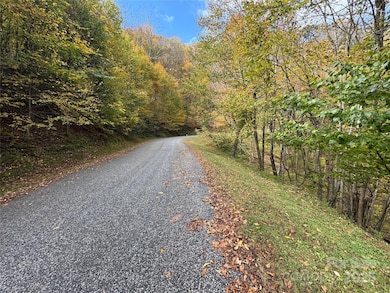 92 Goldenleaf Rd, Mars Hill, NC 28754 - photo 7