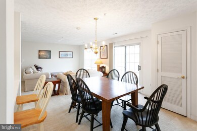 6505 Springwater Ct unit 7404, Frederick, MD 21701 - photo 7