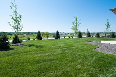 9 ft Trees for Privacy!
