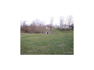 Expansive back yard