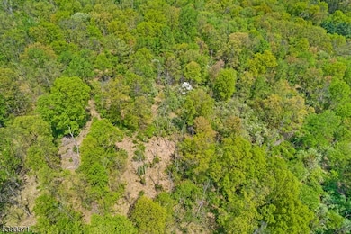 0 Hardscrabble Hill Rd, Flemington, NJ 08822 - photo 4