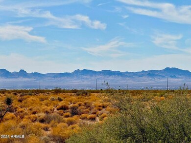 TBD Santa Cruz Rd 38 79 Acres --, Golden Valley, AZ 86413 - photo 4