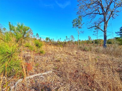 TBD Fm 2022, Grapeland, TX 75844 - photo 7