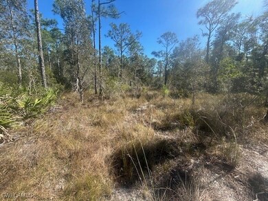 4 NE 1st Ave, Cape Coral, FL 33993 - photo 6